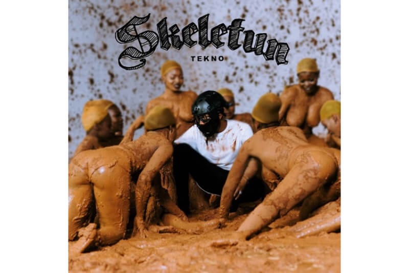 Download hot new single from Tekno titled Skeletun