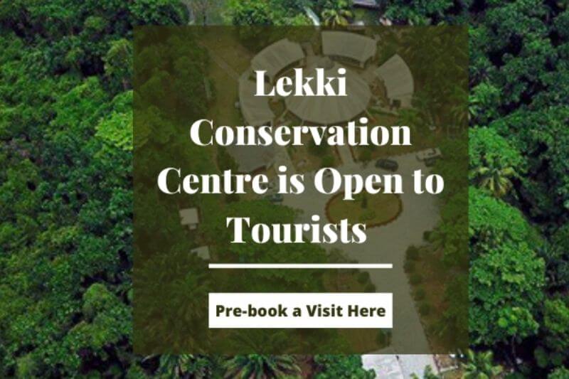 Lekki Conservation Centre Nigeria: Features, gate fees and what to do