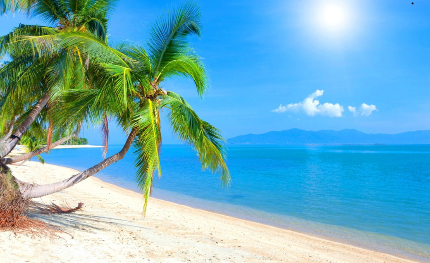15 Celebrities who own private islands