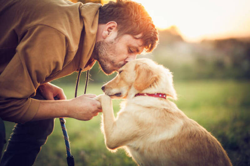 6 Creative Ways To Keep Your Beloved Pet's Ashes Safe