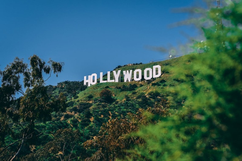 Life Info About Popular Celebrities and Their Professions