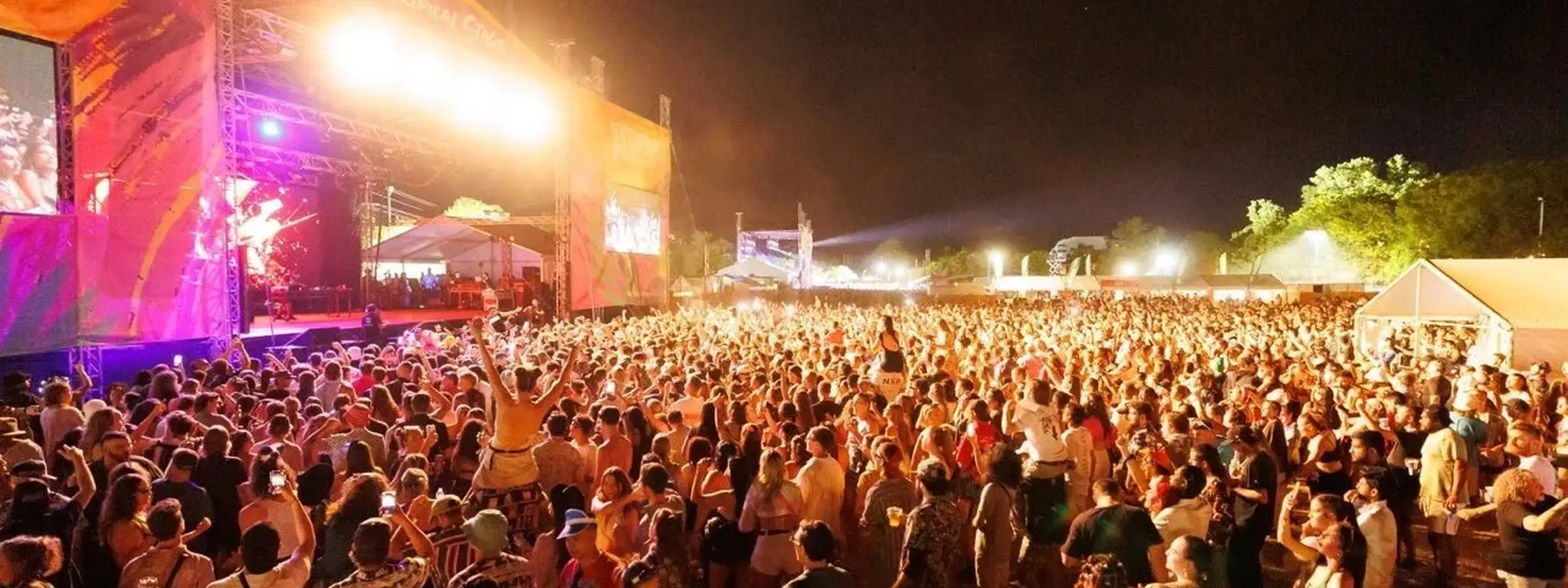 BASSINTHEGRASS festival crowds and atmosphere in Darwin