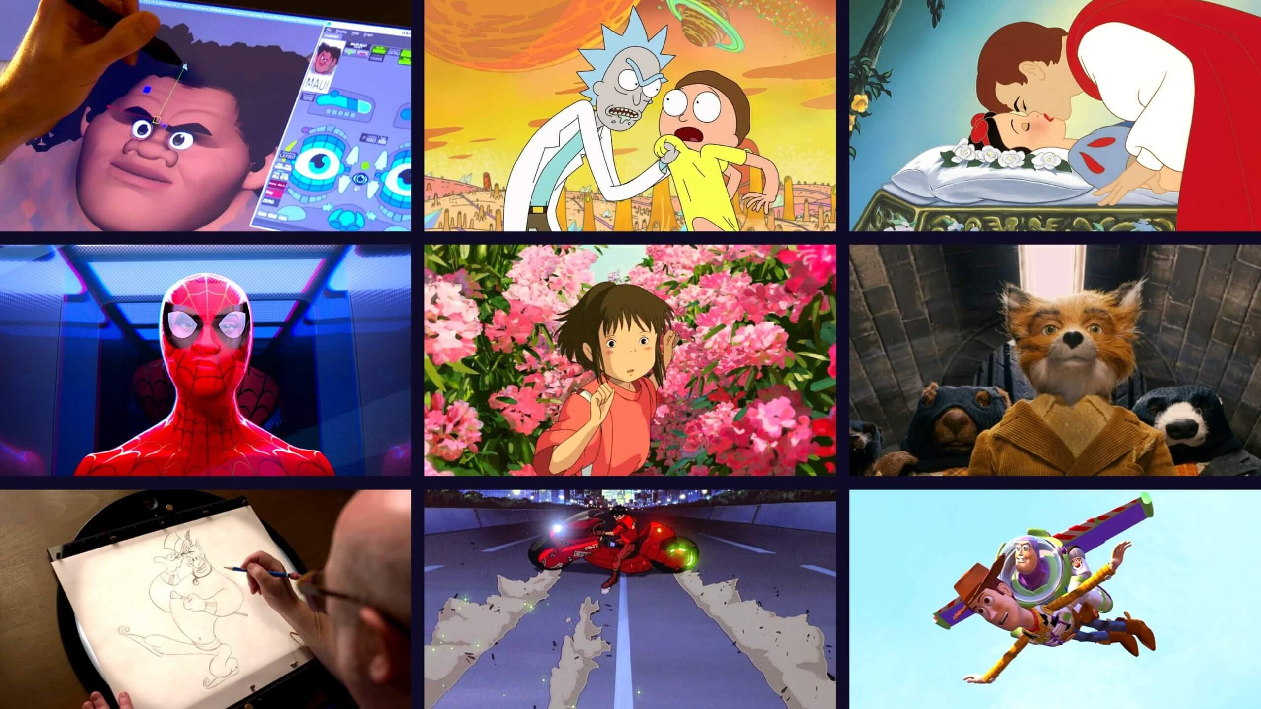 What Is Animation and Why Is It Booming?