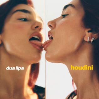 Dua Lipa's 