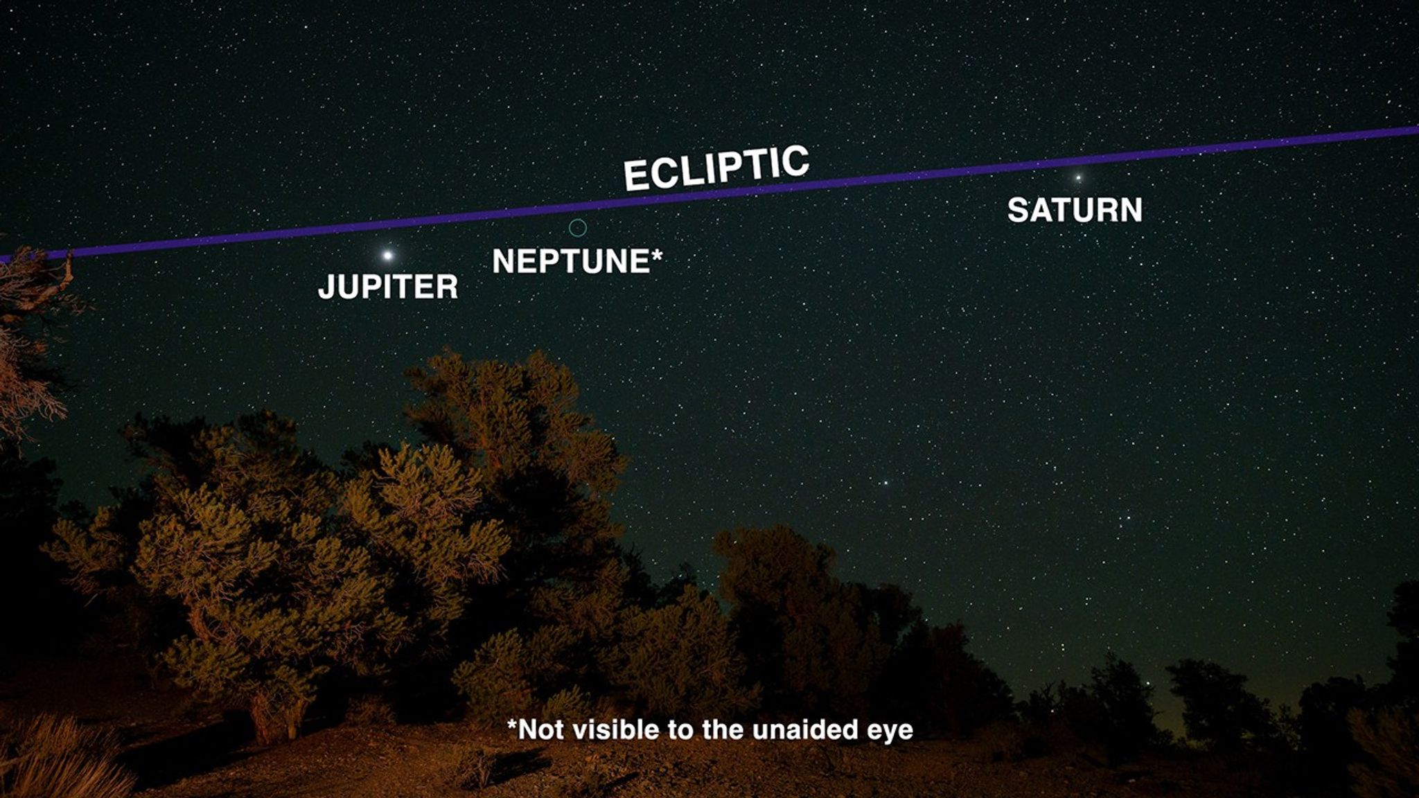 The Stars Align - Earth and Air Signs Hold Their Ground