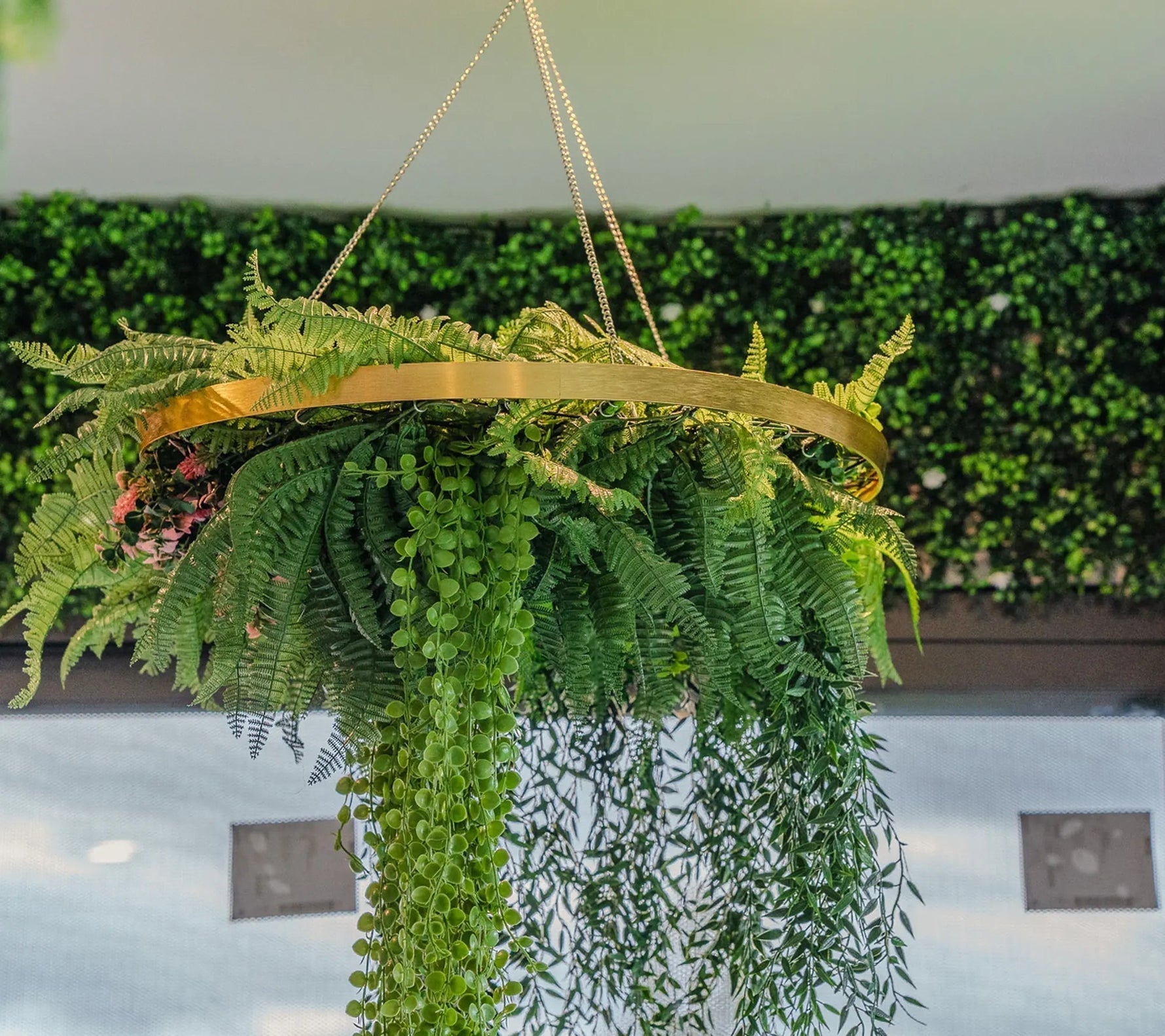 The Garden Drop Mind-Bending New - Fan Reception and Industry Response