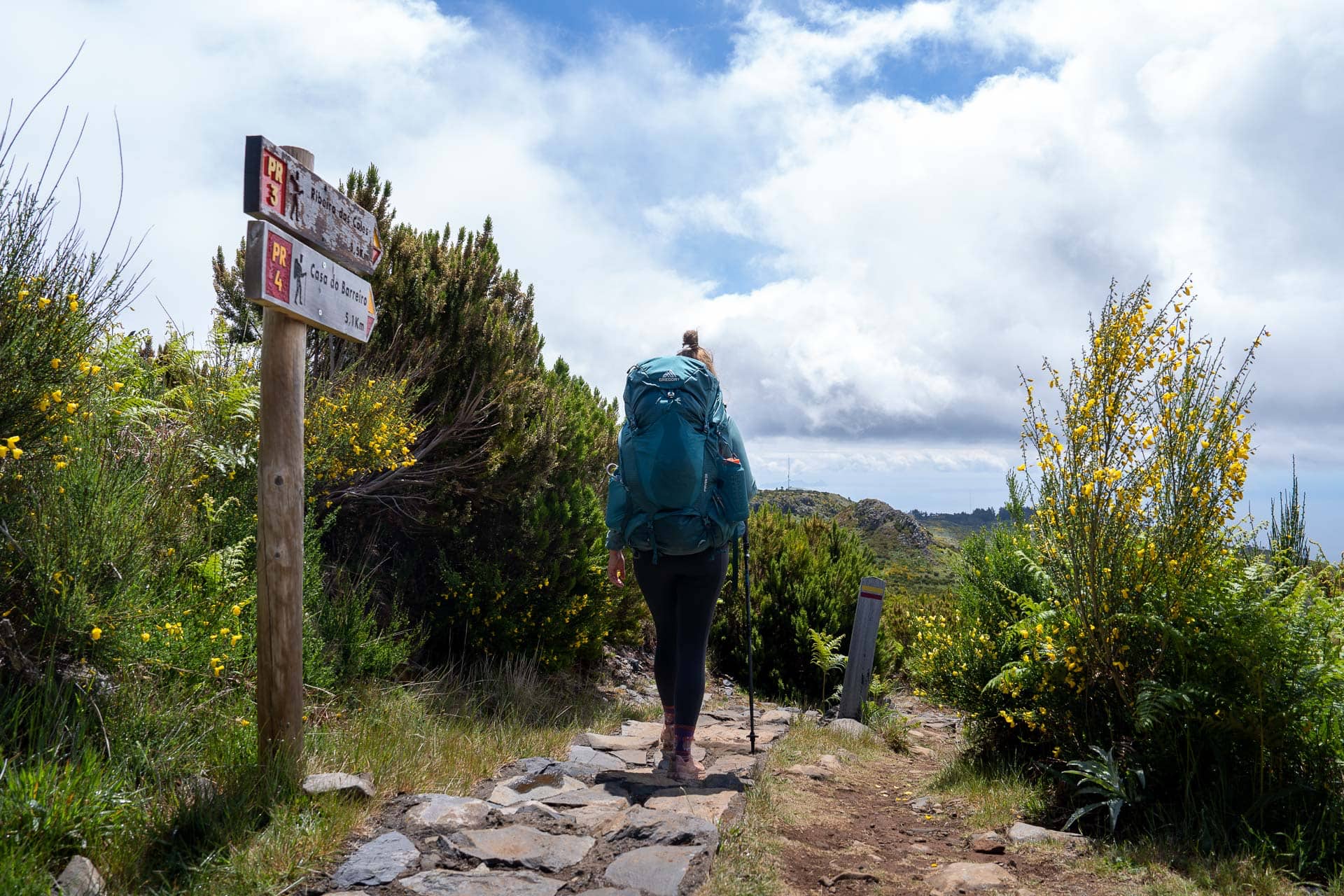 Scenic hiking trail in natural setting