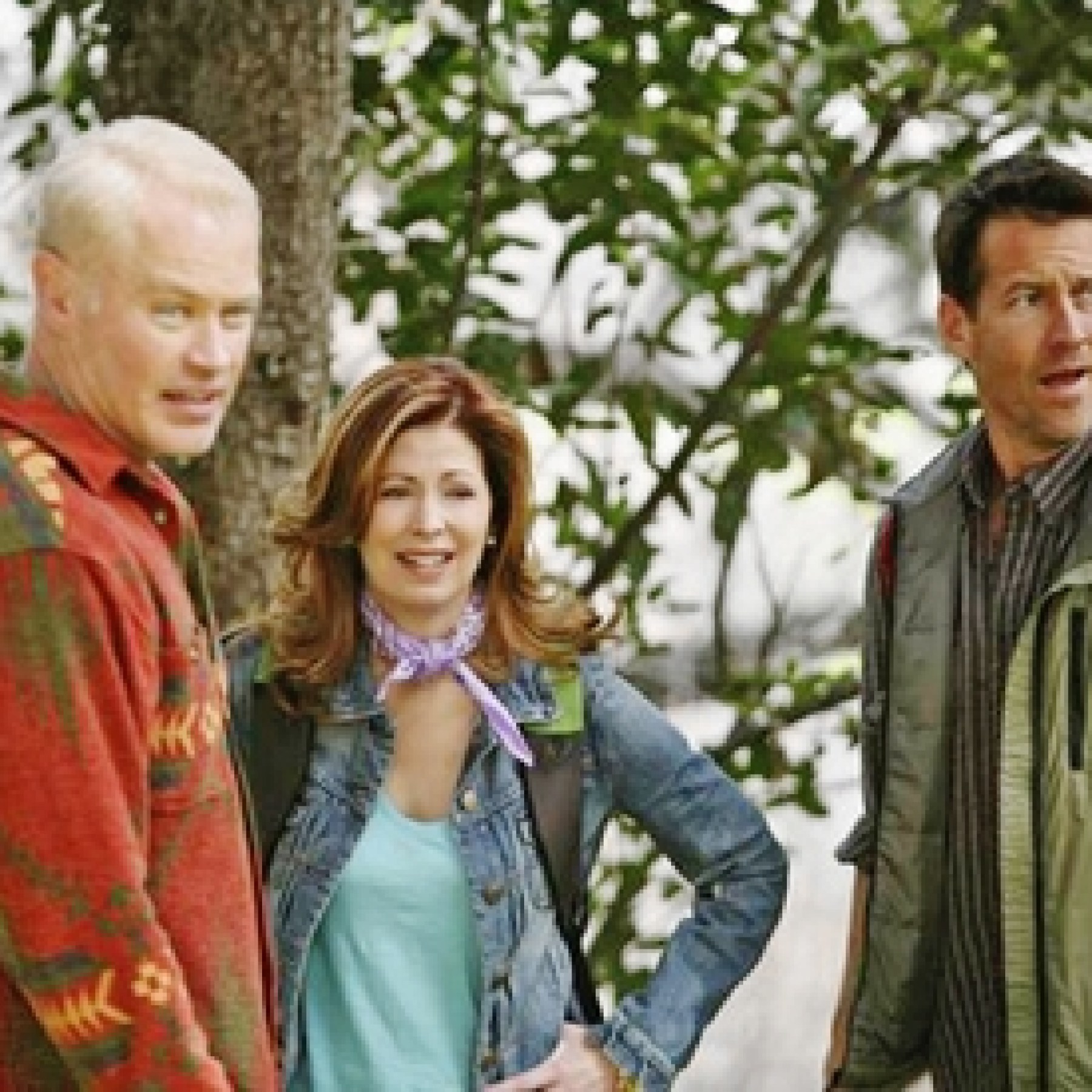 Neal McDonough in ABC's Desperate Housewives