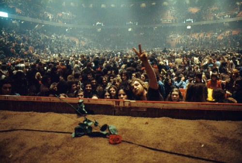 Audience at Neil Young concert