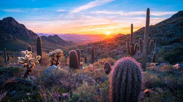 Arizona terrain and landscape