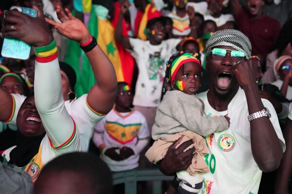 Senegalese supporters celebrating during international match