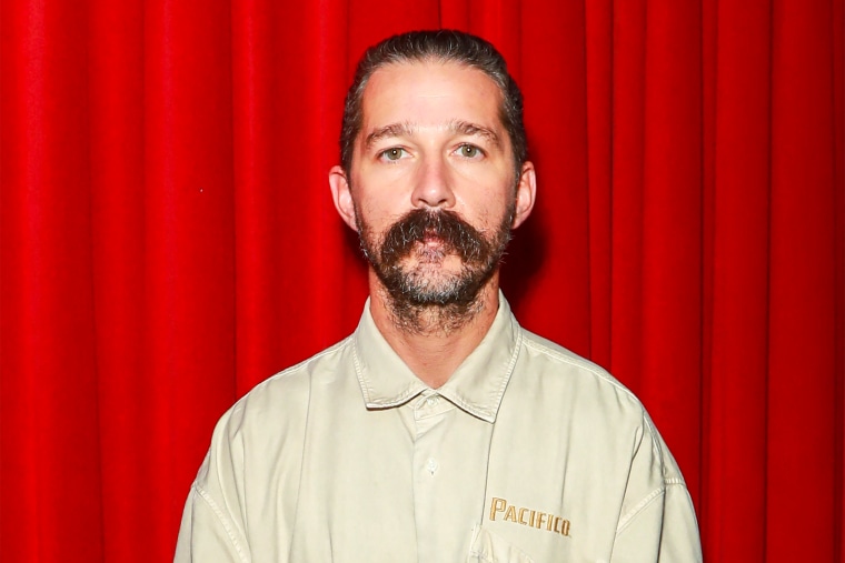 Shia LaBeouf police booking photo