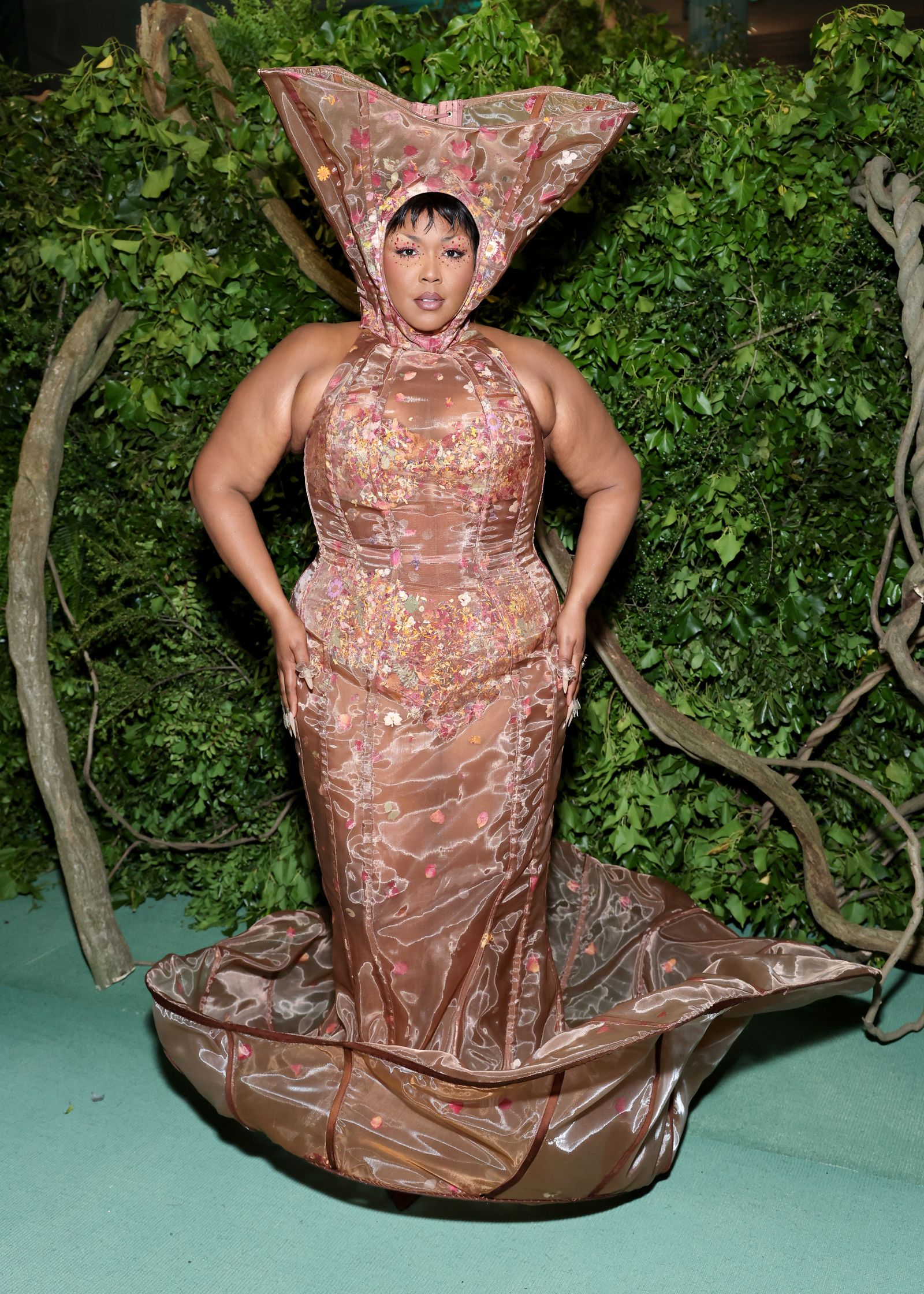 Lizzo - The Evolution of Artistic Vision