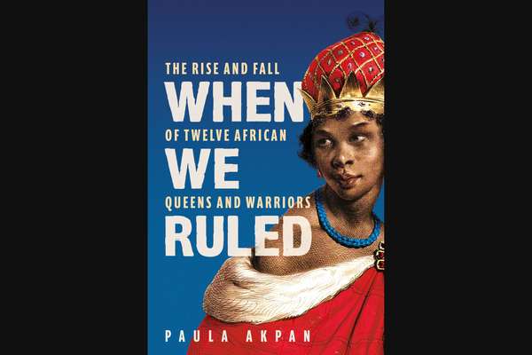The Rise and Fall of - The Nigerian and African register