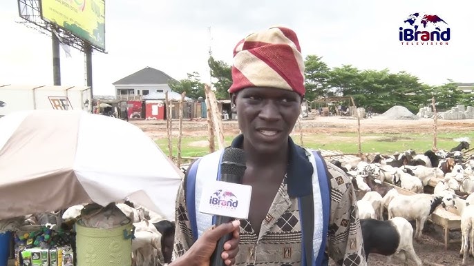 Ileya Fashion and Entertainment - The ram-trading economy