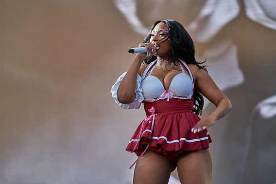 Megan Thee Stallion - The Rise of Celebrity Fashion Brands