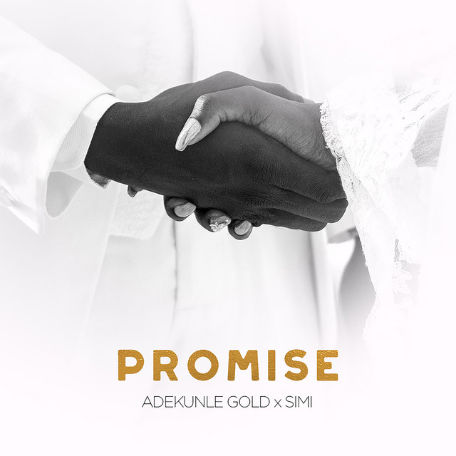 Adekunle Gold Dating History - Their Musical Collaborations: Promise, By You, and More