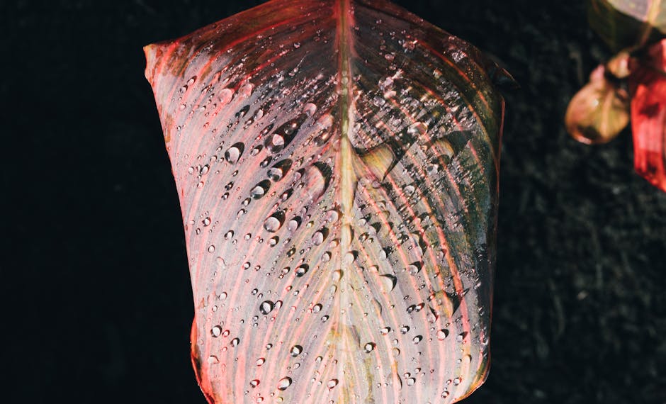 The Garden Drop Mind-Bending New - What We Know About 