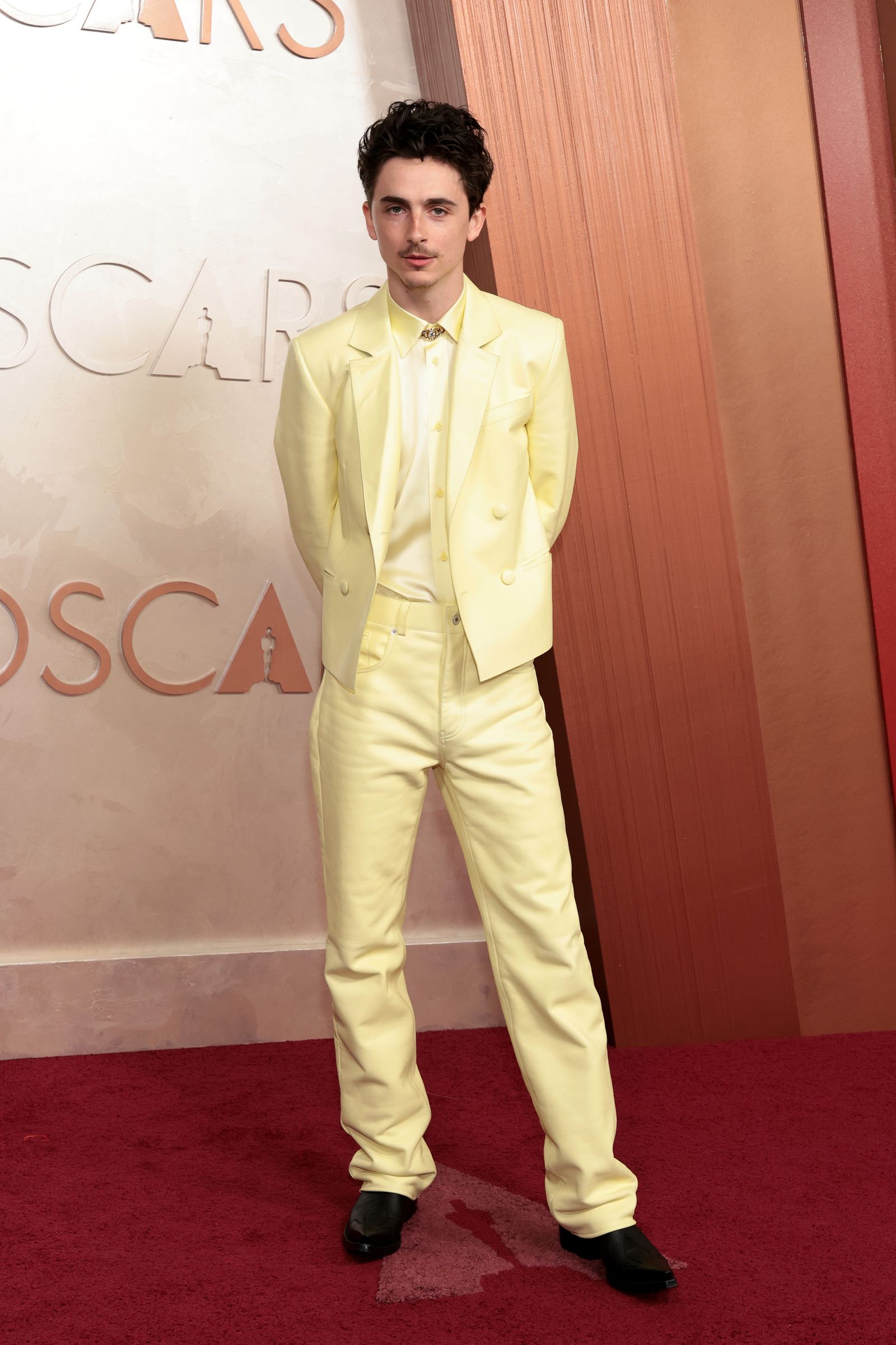 Timothee Chalamet's Rise to Hollywood Royalty: From Indie Darling to Box Office King