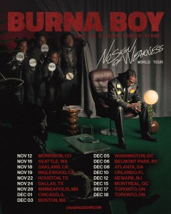Burna Boy's Journey to Global Stardom: The Making of an Afrobeats Ambassador