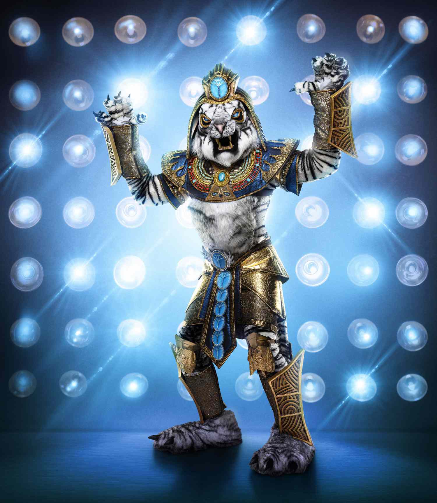 From Professional Sports to Reality - The Masked Costume
