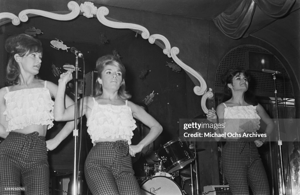 The Angels - A Legacy of Voices Across Five Decades