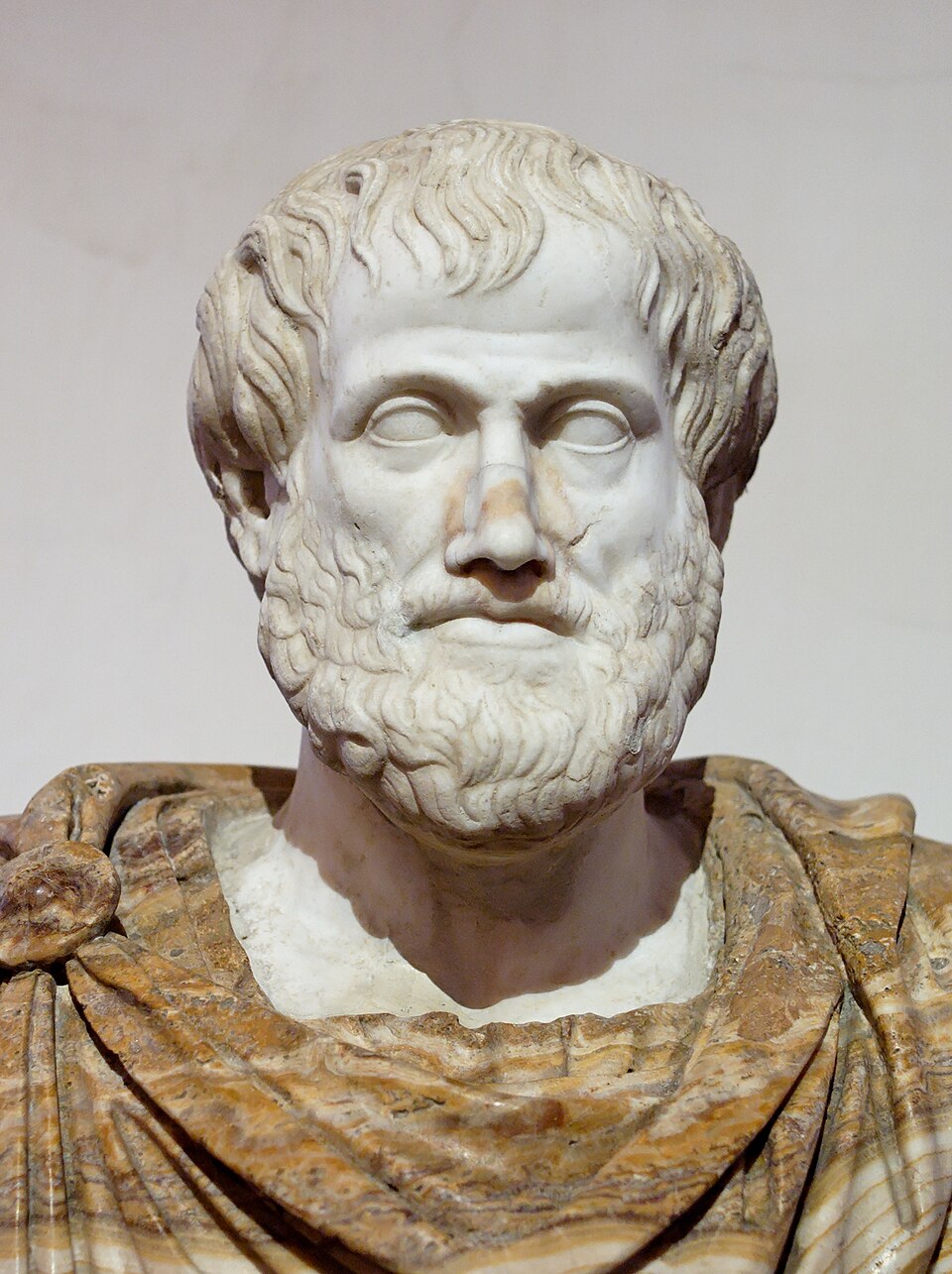 From Ancient Greece to Modern Fame: How Aristotle's Political Genius Still Influences Today's Celebrity Culture