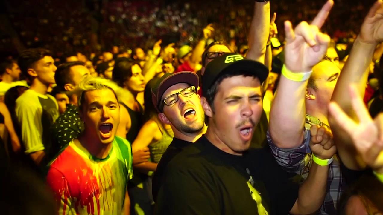 Blink-182 fans at a recent concert showing enthusiasm