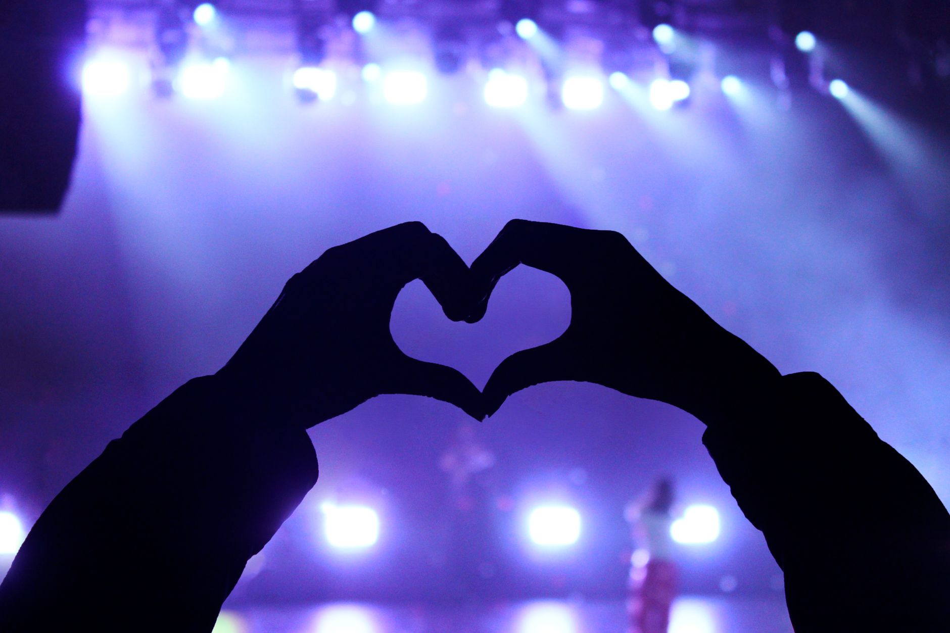BTS fans at concert showing support