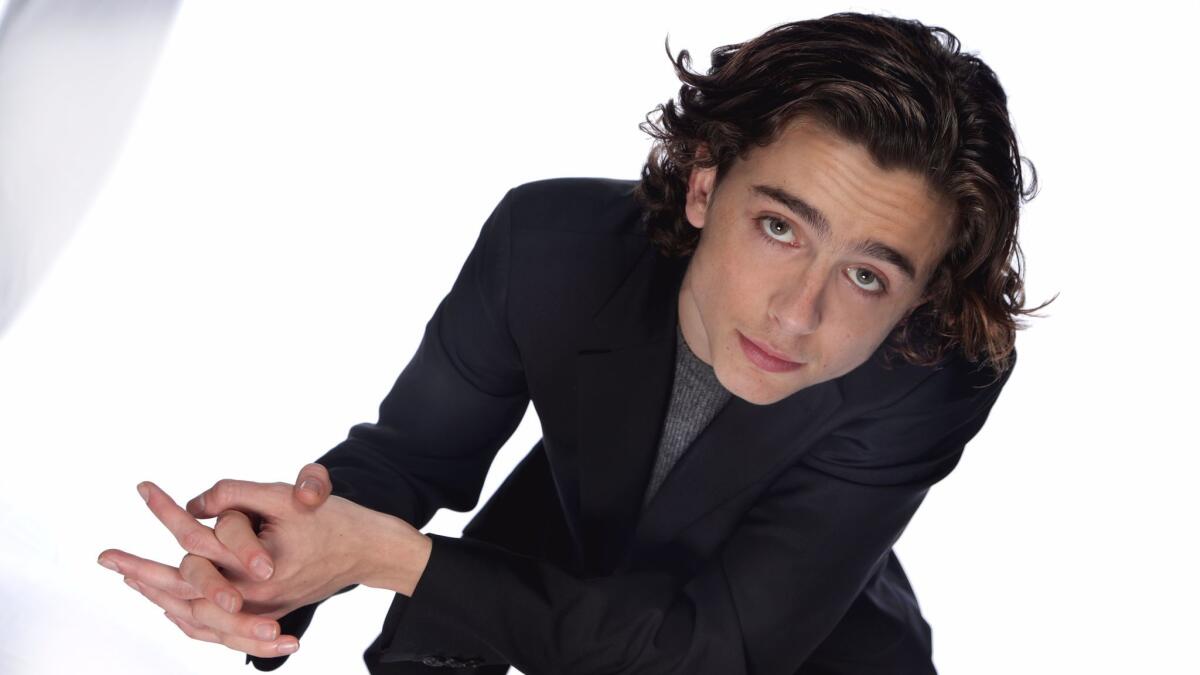 Timothee Chalamet Rise to Hollywood - Call Me by Your Name and overnight