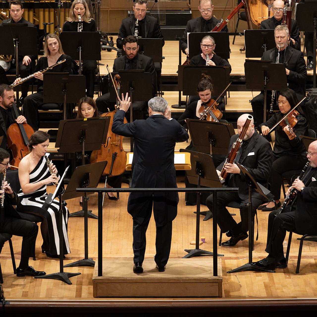 Professional orchestra musicians with their instruments