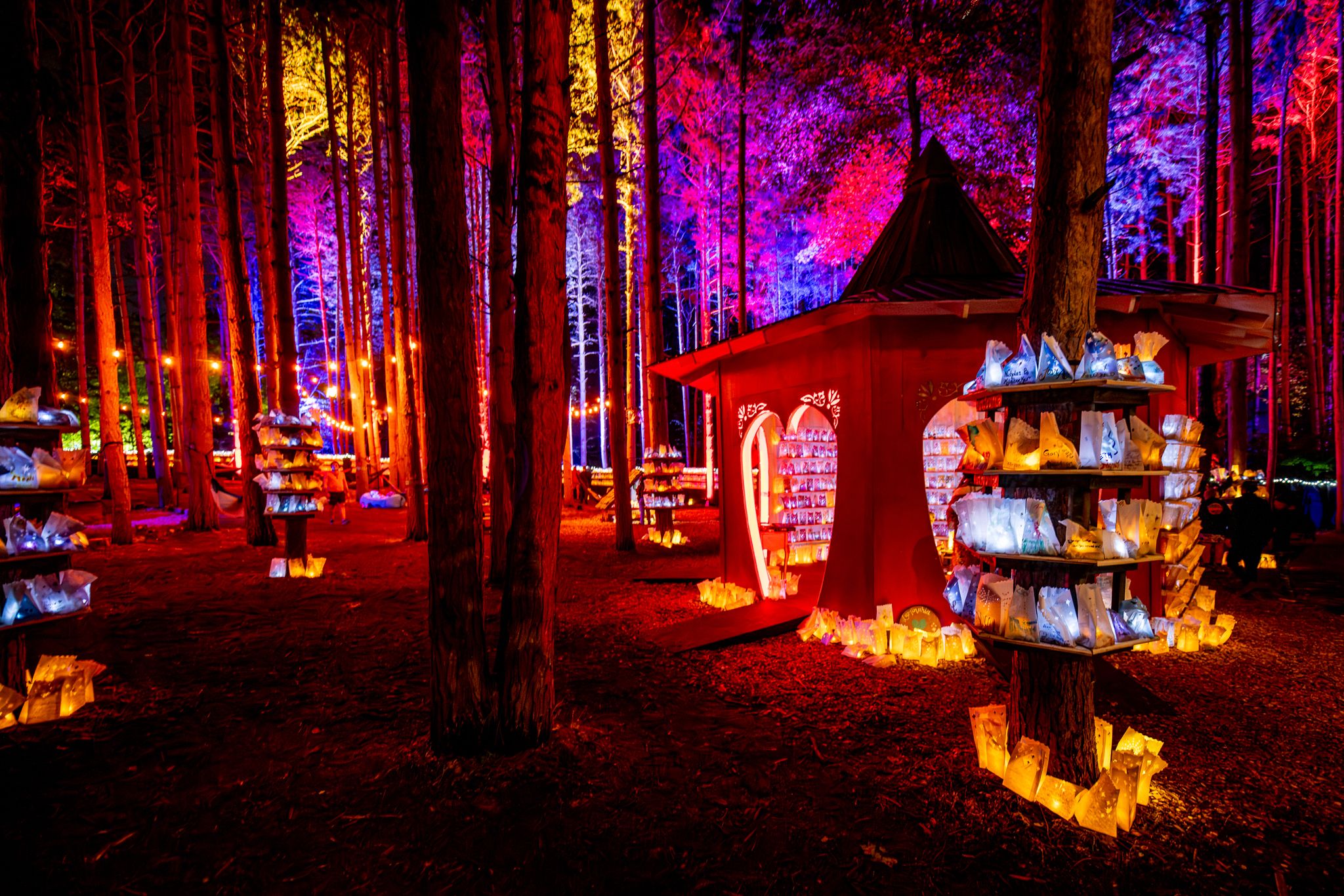 Electric Forest's iconic Sherwood Forest illuminated art installation