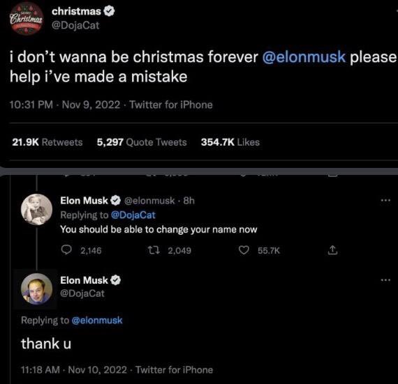 Doja Cat Roasts Elon Musk as 'Barrel Chested Ewok' While Demanding X Feature Return