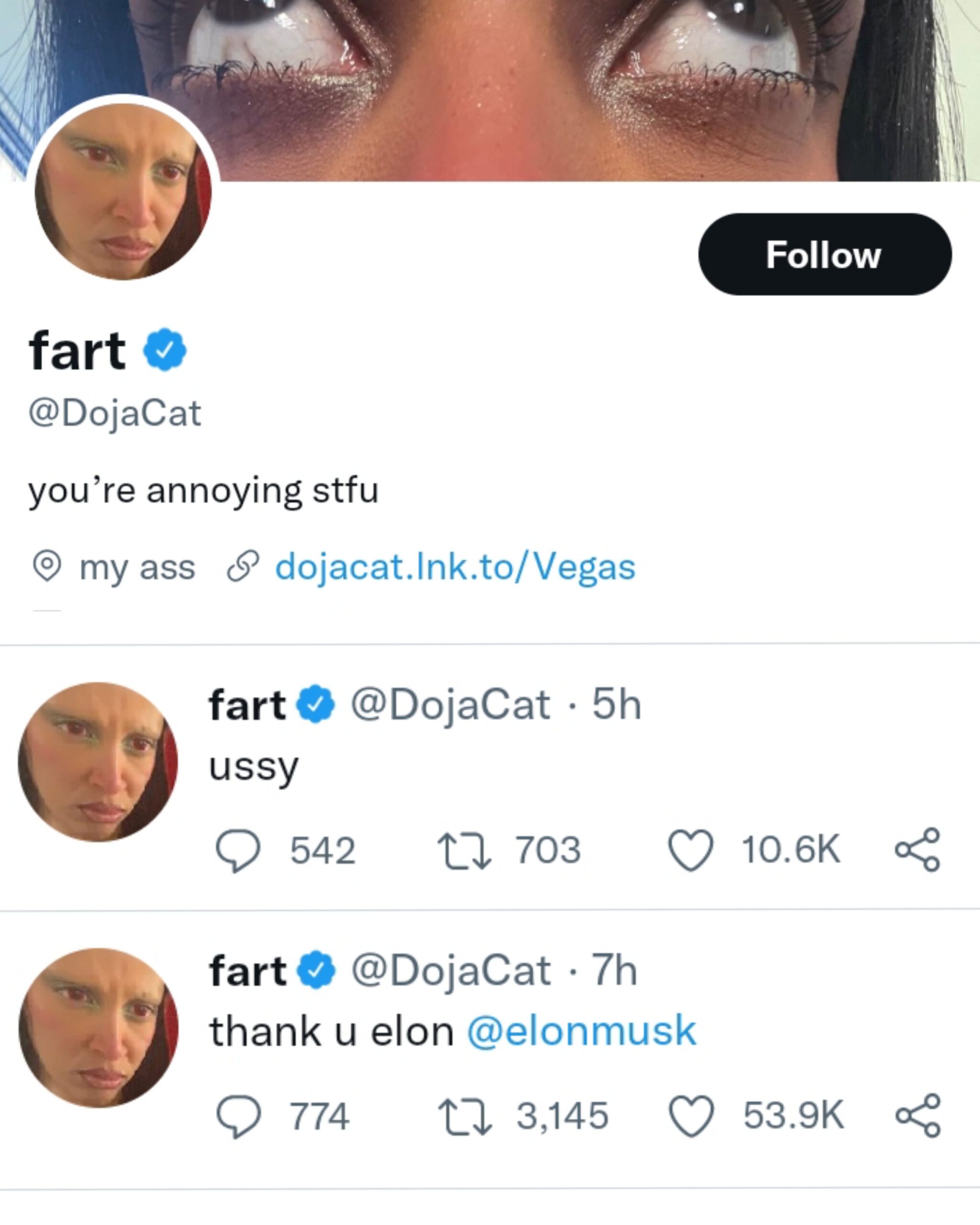 Doja Cat Roasts Elon Musk - Doja Cat's Social Media History