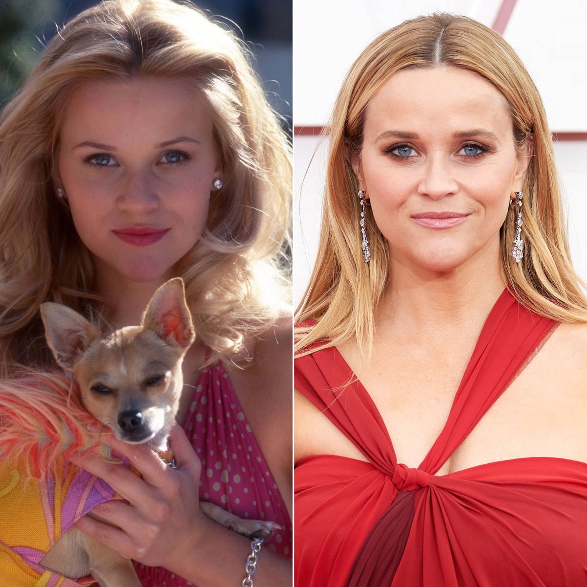 Bend and Snap! Reese Witherspoon, - From Elle Woods to Now: Where the Cast Has Been
