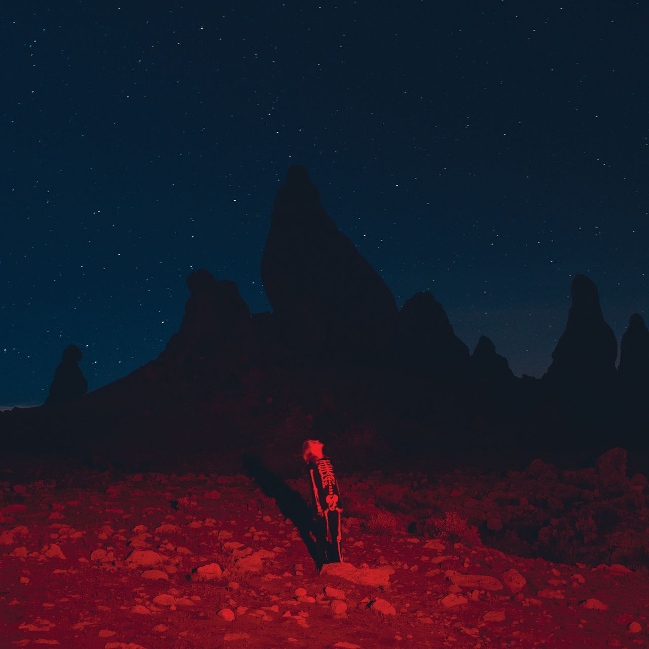 Phoebe Bridgers - From Punisher to Lost Weekend: The Arc of an Artist