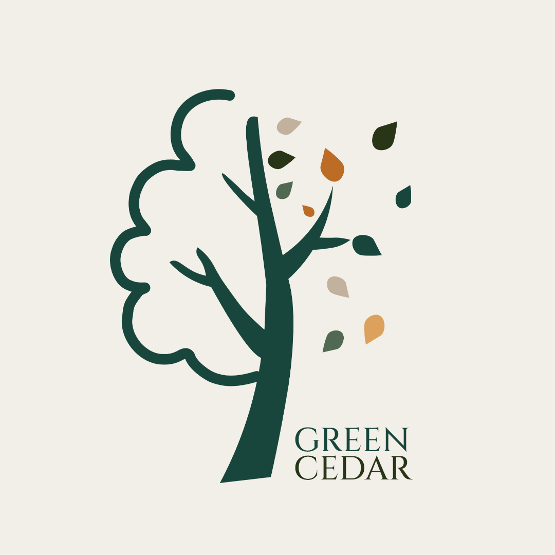 Green Cedar Expressions youth development initiative in Nigeria