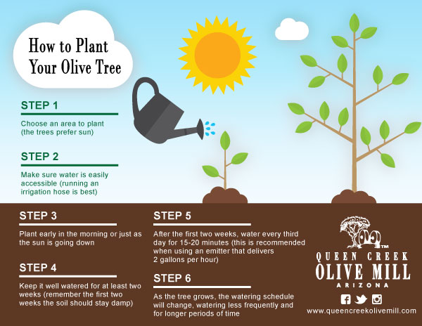 Oliver Tree - Interesting Facts and Trivia