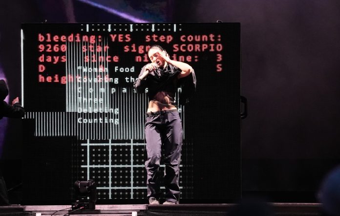 Governors Ball 2026 Delivers Star-Studded - Lorde's Triumphant Return to the Main Stage