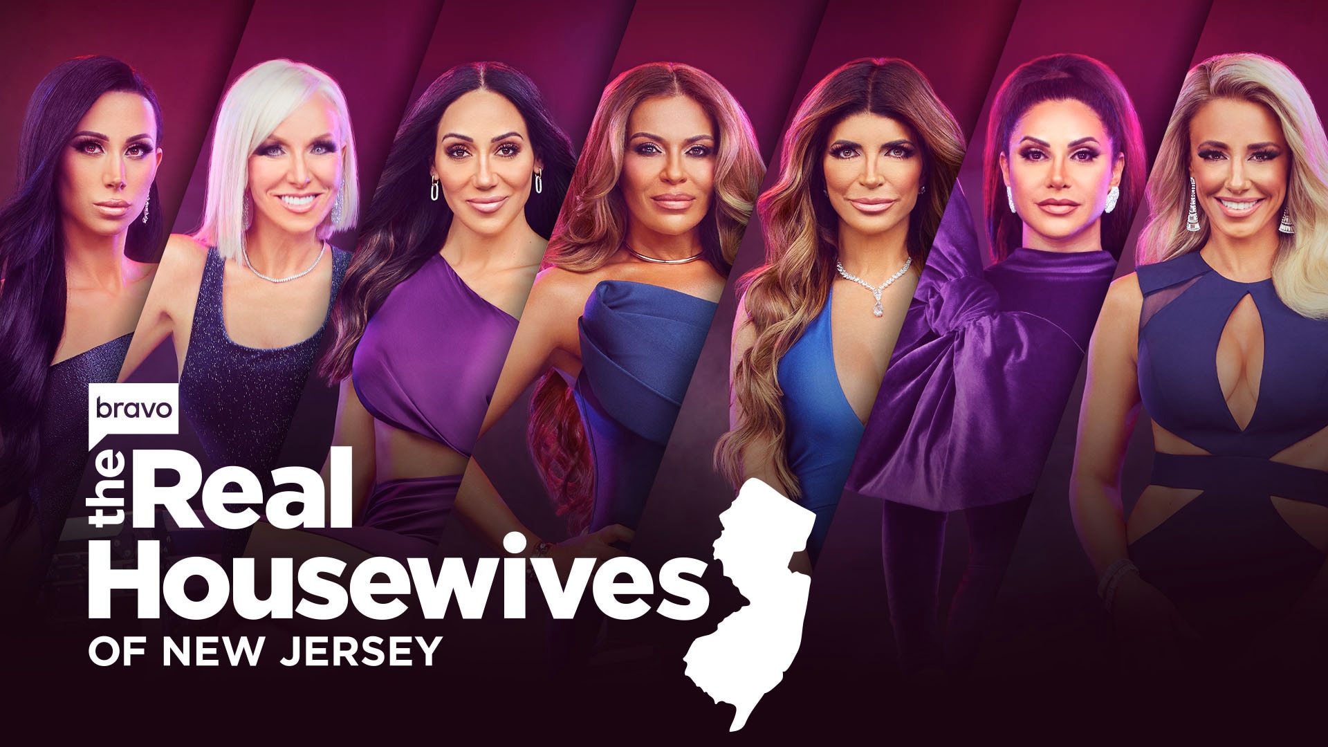 Real Housewives of New Jersey Bravo TV show cast