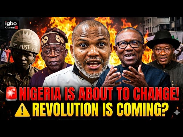 How Nigeria's Credit Revolution is Reshaping Entertainment and Celebrity Culture