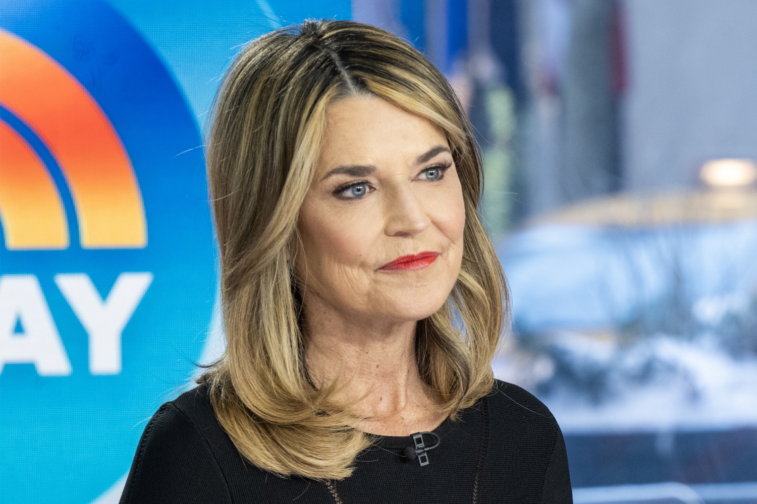 Savannah Guthrie NBC Today Show journalist profile