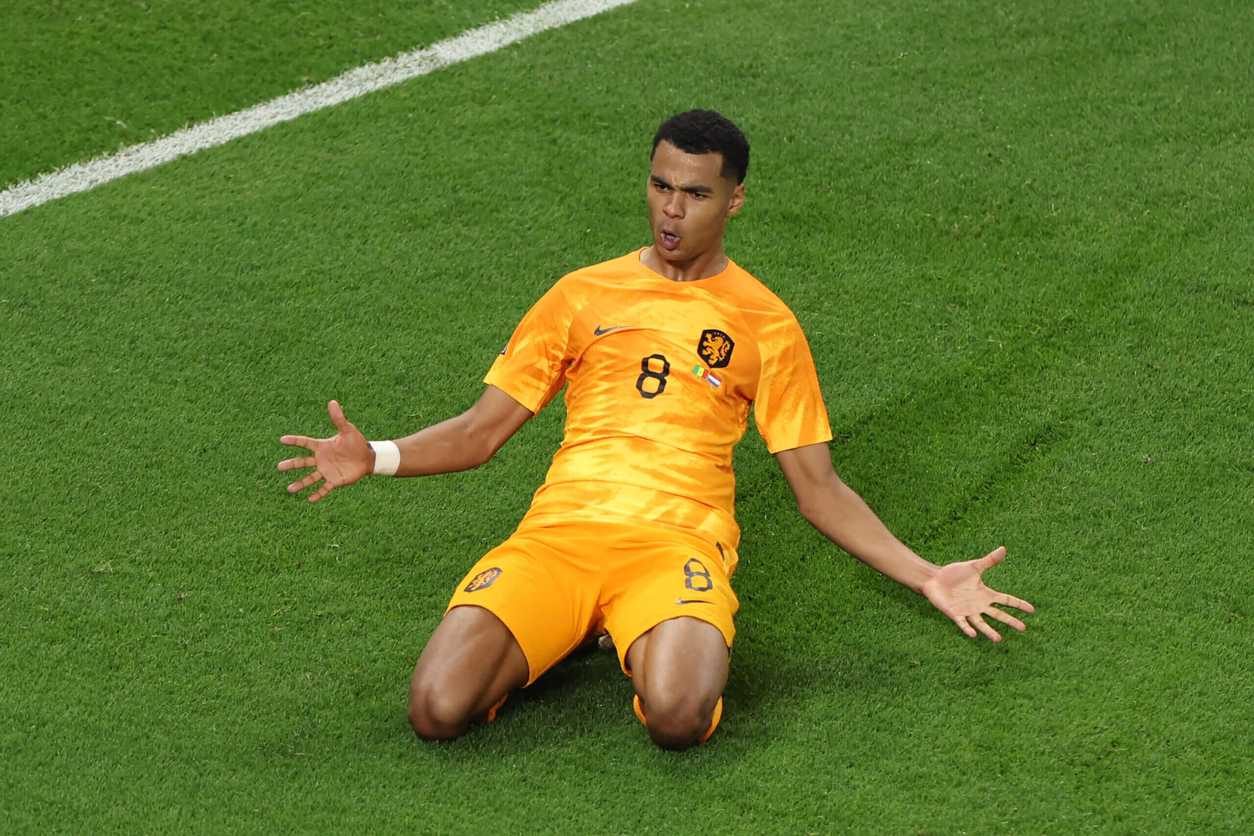 Cody Gakpo - The 2022 World Cup announcement