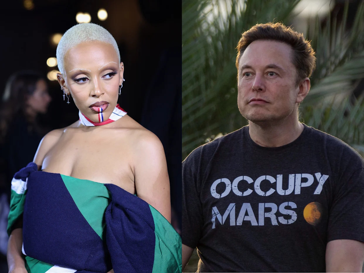Doja Cat Roasts Elon Musk - The Audio Posts Controversy