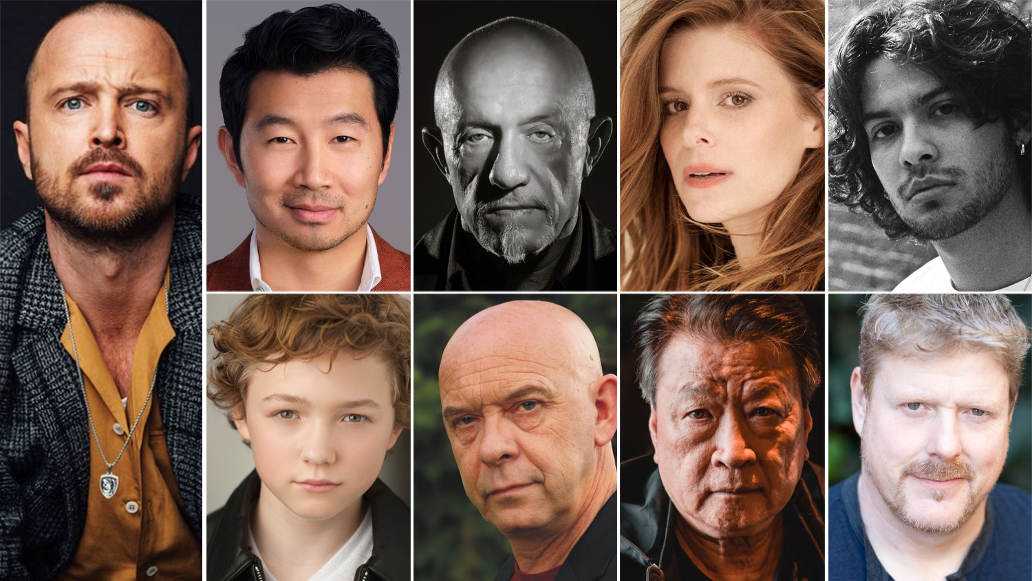 Why Invincible - The cast and the voice work