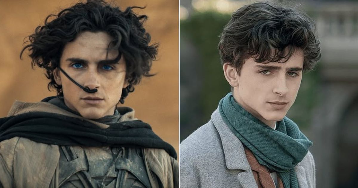 Timothee Chalamet Rise to Hollywood - The indie-to-prestige run