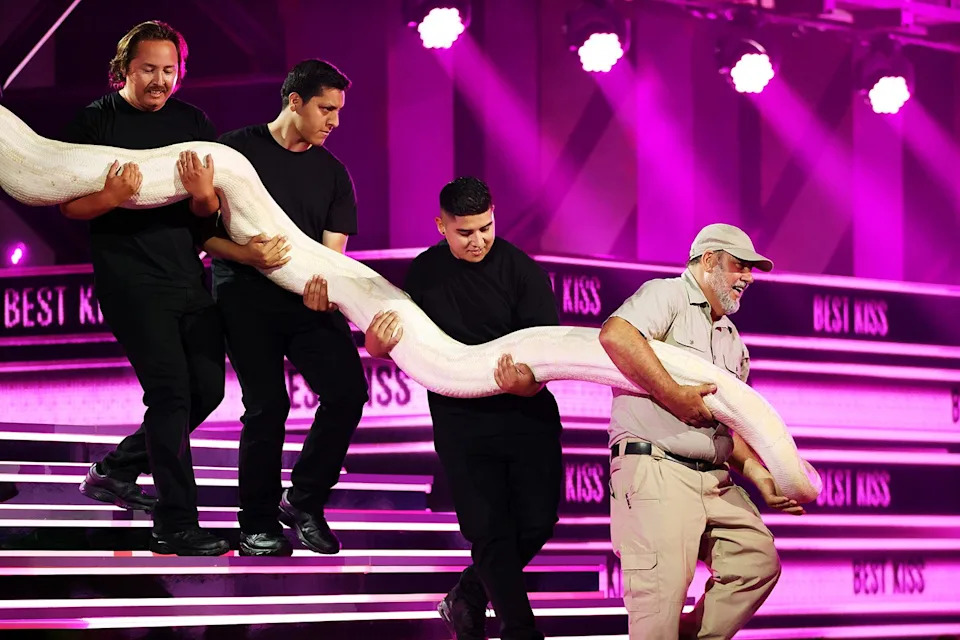 Jackass Forever and Done - The Jackass Legacy: From MTV to the Big Screen