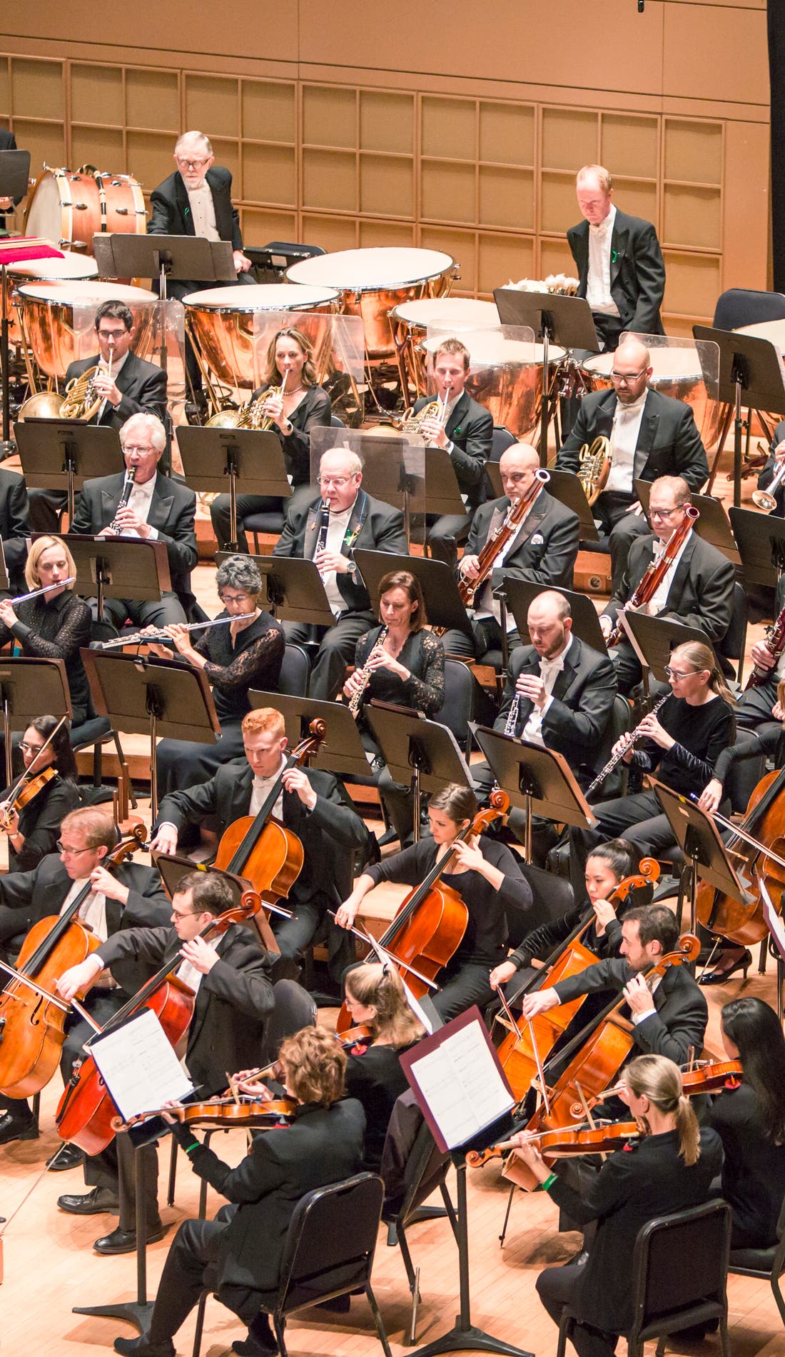 Dallas Symphony Orchestra Faces Public - The Road to Recovery