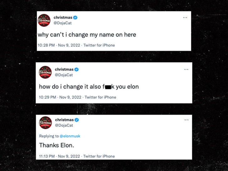Doja Cat Roasts Elon Musk - The Unexpected Callout