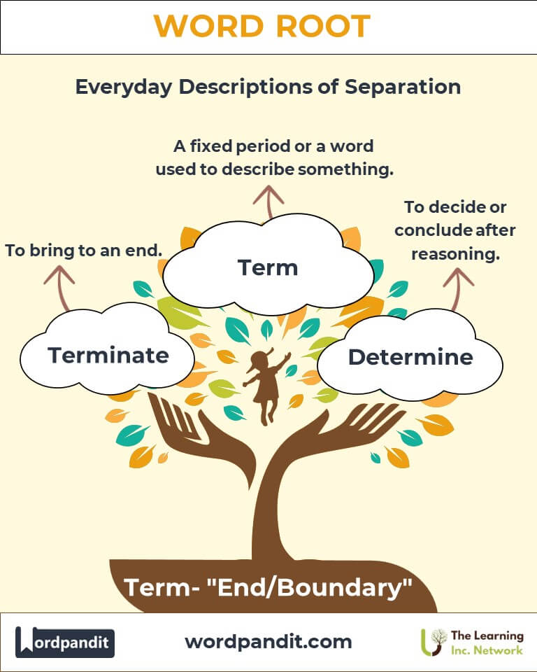 What - Where the Term Came From